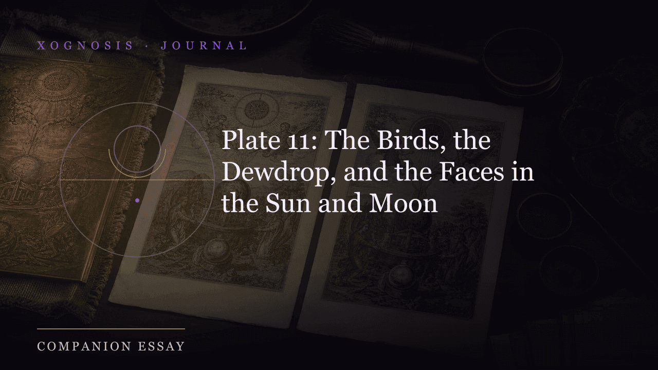 Plate 11: The Birds, the Dewdrop, and the Faces in the Sun and Moon (Xognosis Journal cover)