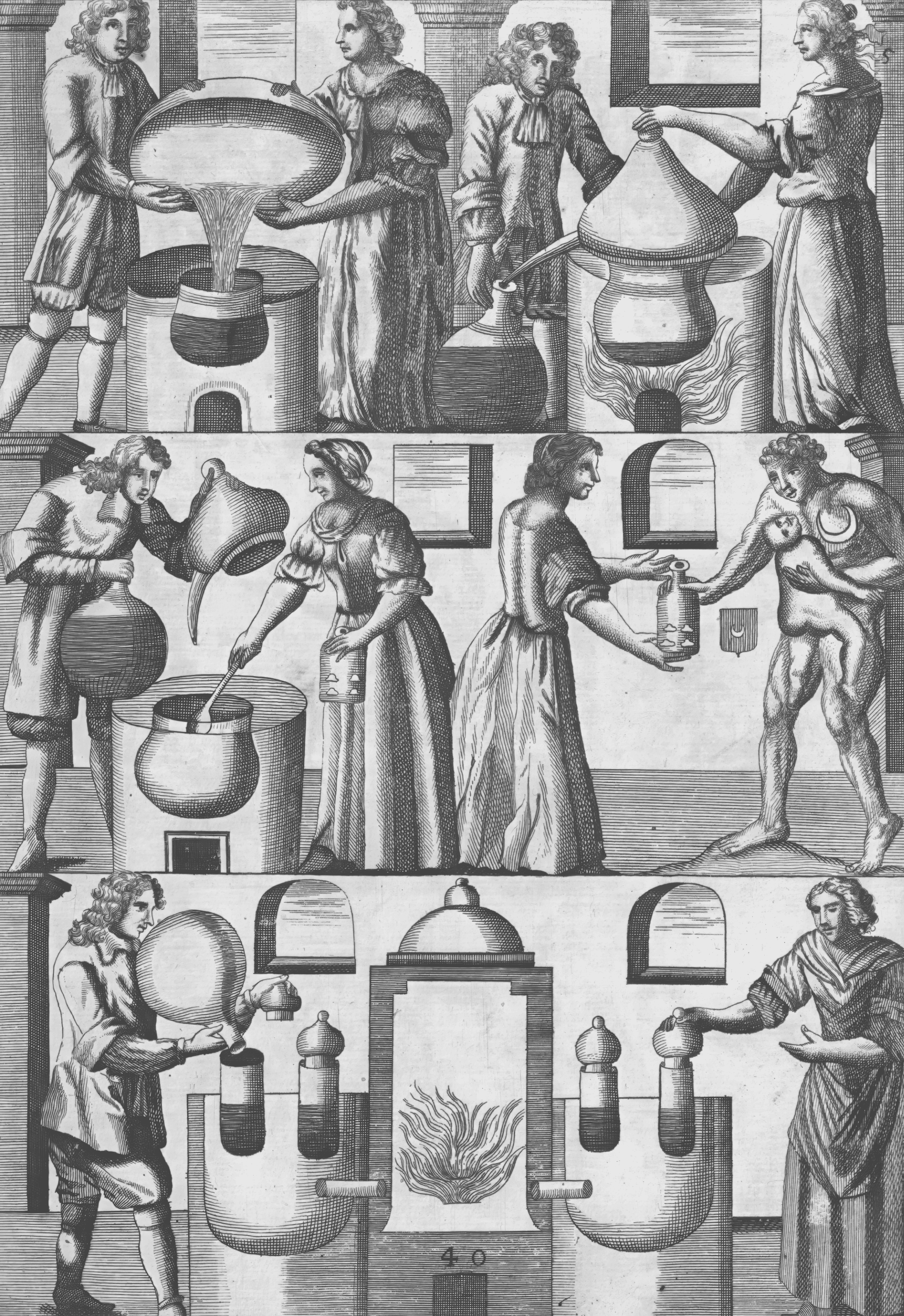 Mutus Liber - Plate 5