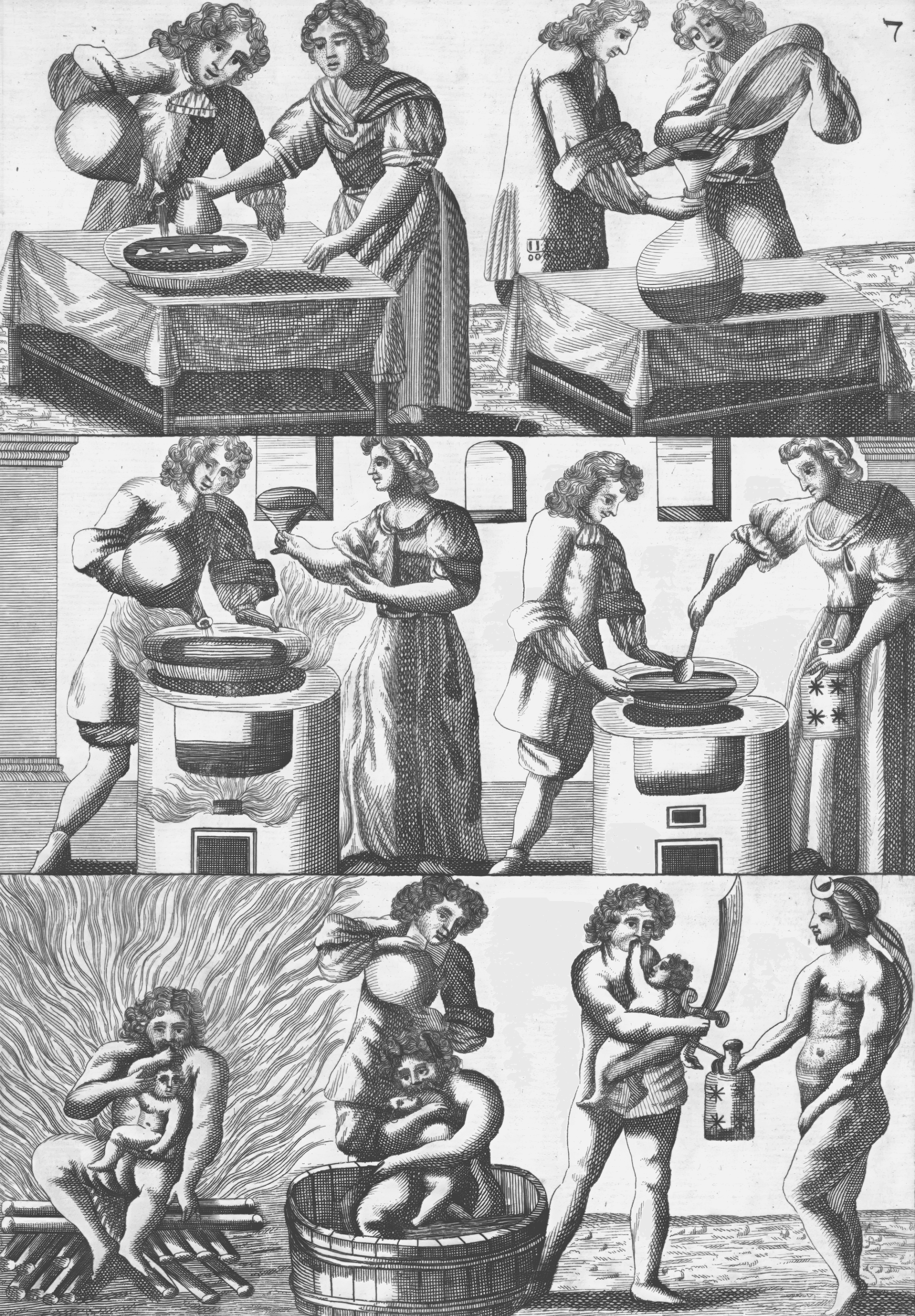 Mutus Liber - Plate 7