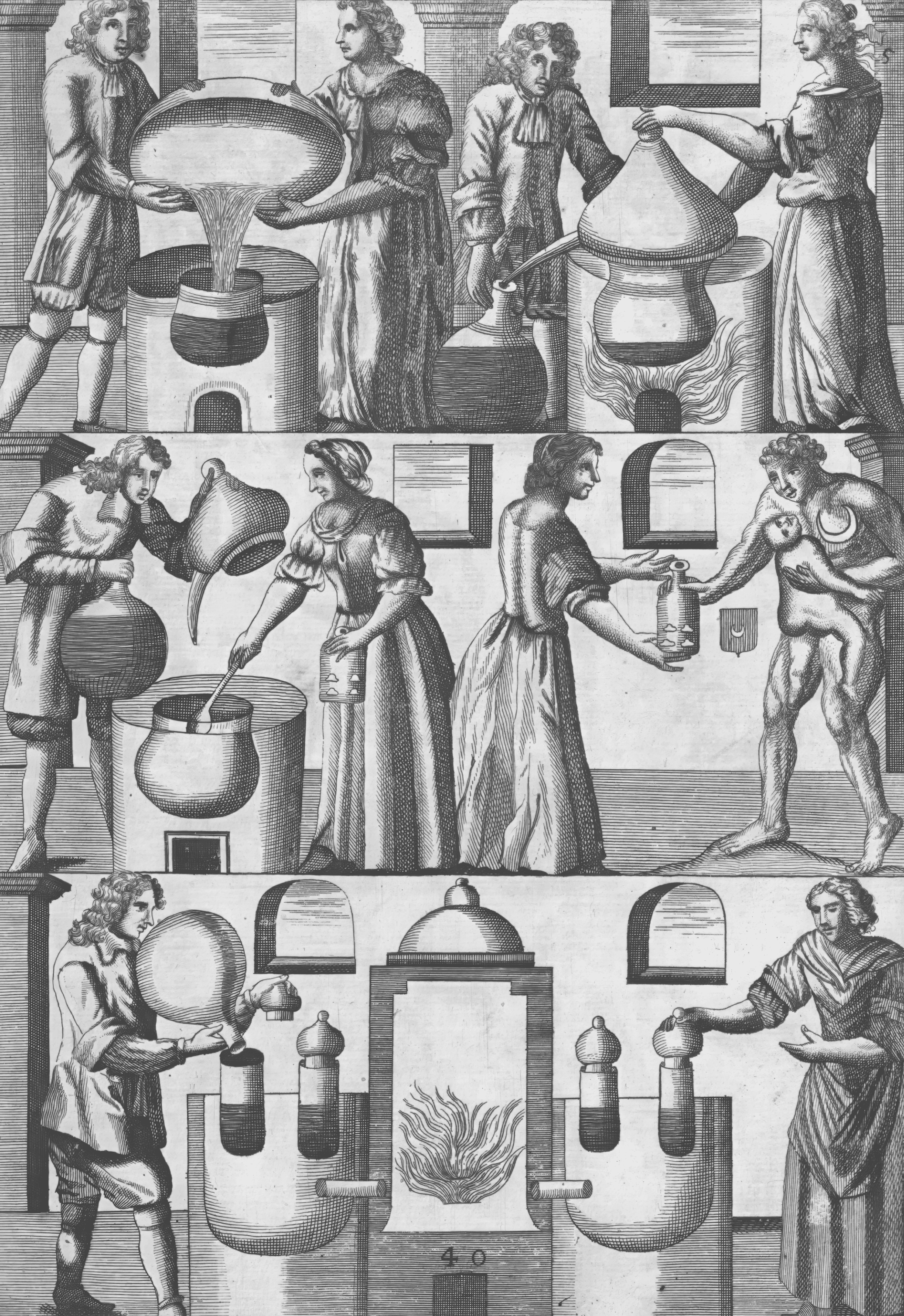 Mutus Liber - Plate 5