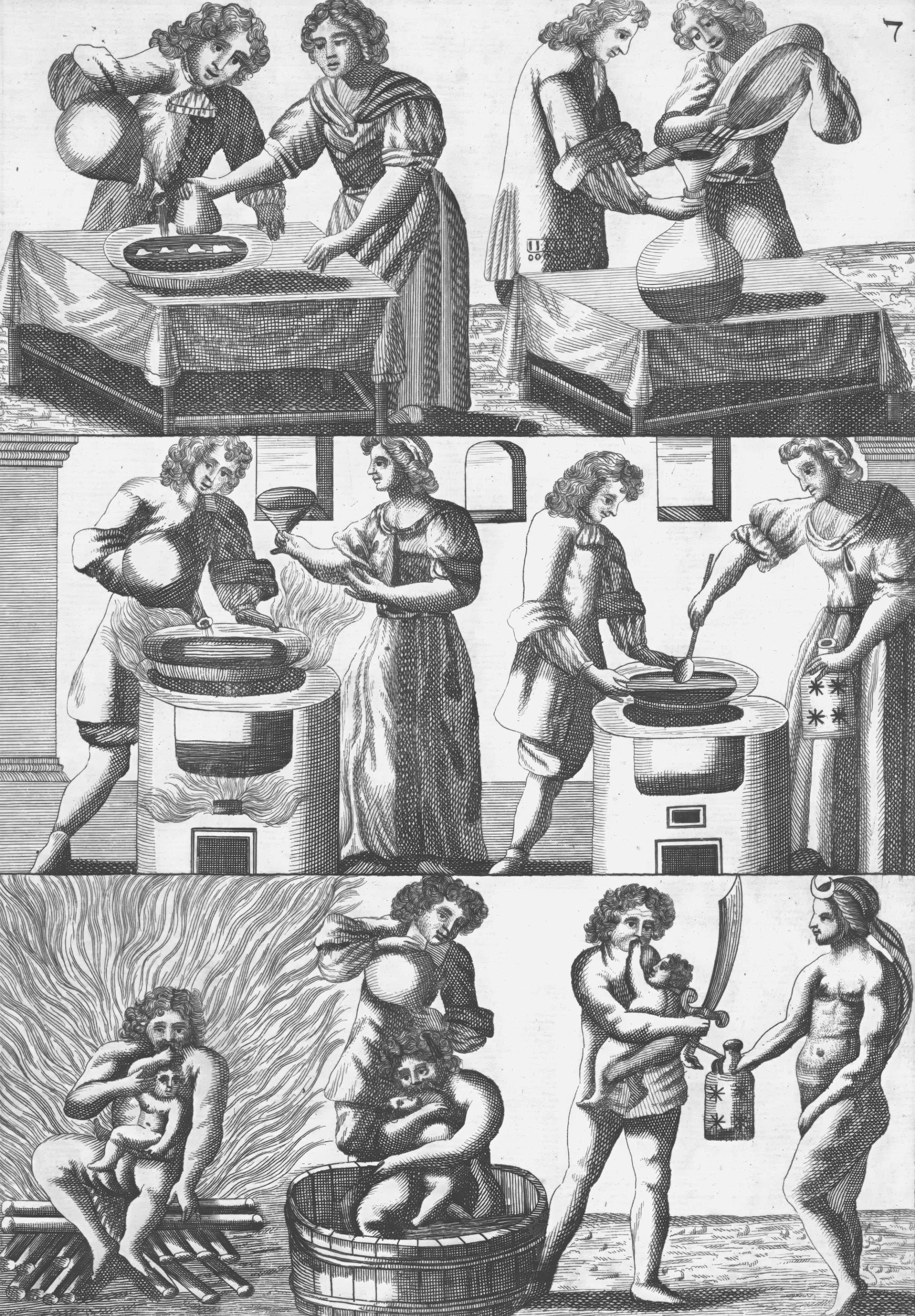 Mutus Liber - Plate 7