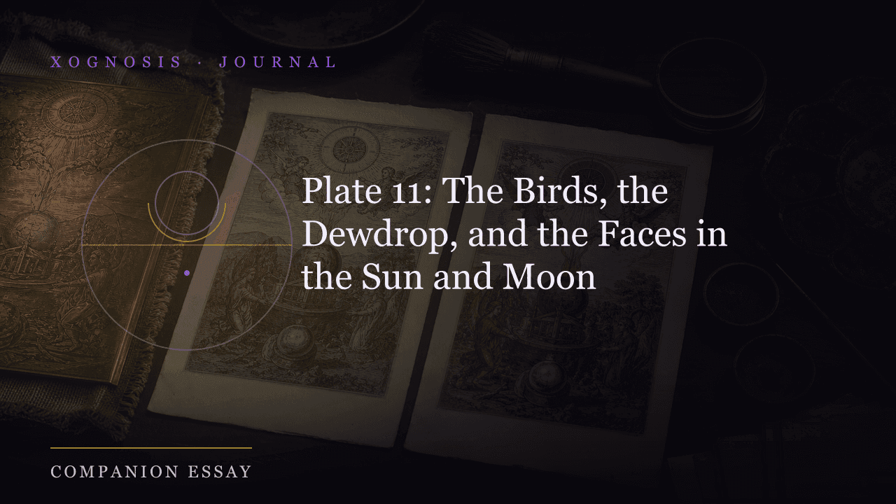 Plate 11: The Birds, the Dewdrop, and the Faces in the Sun and Moon (Xognosis Journal cover)